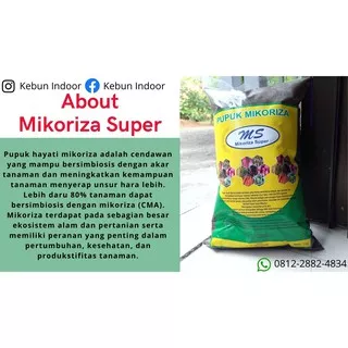 Pupuk Hayati Mikoriza Super, Pupuk Mikoriza Super Terbaik