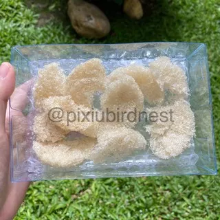 SARANG BURUNG WALET BIRD NEST 25 GR SARANG WALET YANWO HANCURAN LEMBUTAN REMAHAN ASLI NATURAL BERSIH