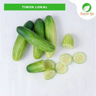 Timun Lokal Besar 500 Gram Fresh Grade A Ketimun Lalapan Mentimun Lalap - Sayur Ijo Segar Murah