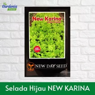 Benih Selada Keriting New Karina - New Day Seed (Import)