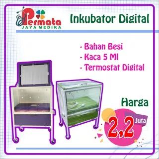 Inkubator Digital