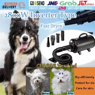 2800W Profesional Pet Hand Dryer Alat Pengering Bulu Hewan Electric Blower untuk Anjing dan Kucing