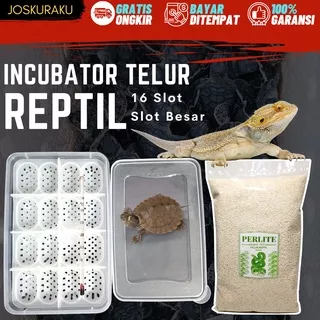 Incubator Penetas Telur Reptil Kura Kura Ambon Brazil Bearded Dragon 16 Slot / 16 Telur