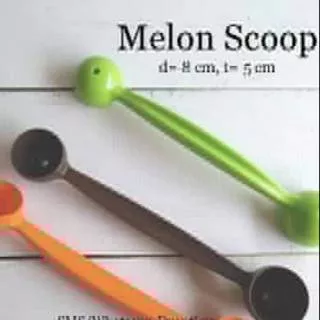 Scoop buah