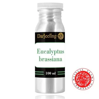 100ml Eucalyptus Brassiana Essential Oil Minyak Brassiana