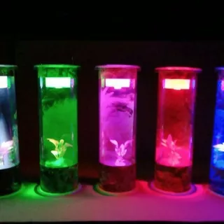 Aquarium Minimalis Lengkap Dengan Lampu dan Hiasan (Cupang , Goby, DLL)