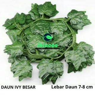 DAUN RAMBAT PLASTIK IVY JUMBO DAUN PLASTIK BUNGA PLASTIK DAUN ARTIFICIAL TANAMAN HIAS DAUN DEKORASI