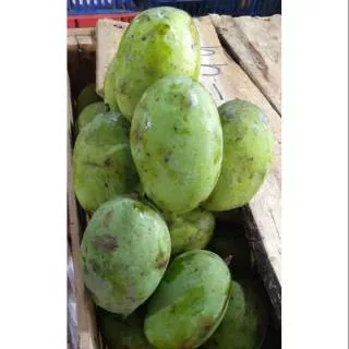 Buah mangga kaweni 1kg|buah segar bandung|nuri fruits|buah bandung