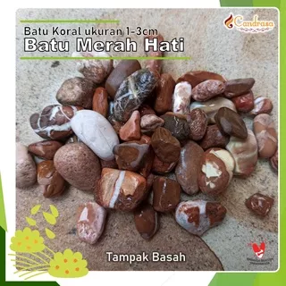 Batu Merah Hati Taman 1 Kg / Batu Koral Merah Marun Aquarium / Batu Aquarium / Batu Koral Merah Maroon