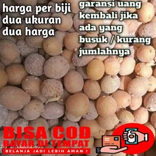 BIBIT KENTANG G0 GRAND L / BENIH KENTANG G0 VERINTAS GRANOLA L/ ASLI G0