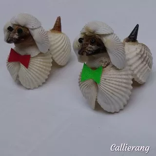 Souvenir Pajangan Anjing Pudel Cangkang Kerang