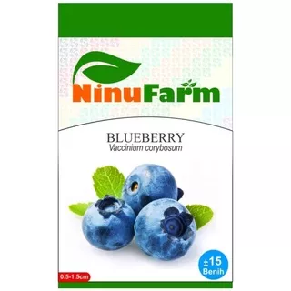 Benih Blue Berry / Bibit Buah Blueberry / Benih Buah Berry Biru Buah