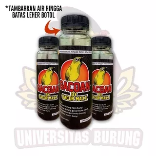 DOPING PLECI GACOAN vitamin tambahan pleci cepat gacor ngalas