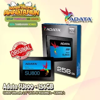 ssd ADATA SU800 Ultimate 256GB 2.5 SATA III R560/520Mbs - BONUS