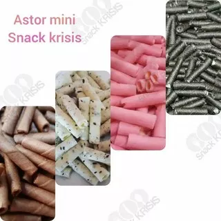 Wafer Stick / Astor Mini Aneka Rasa 500gr