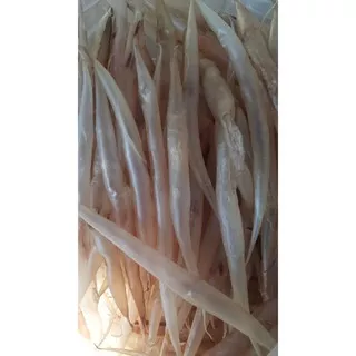 || ROYALHERBAL888|| PER 100 GR GELEMBUNG IKAN / PERUT IKAN /  FISH MAW MALONG B