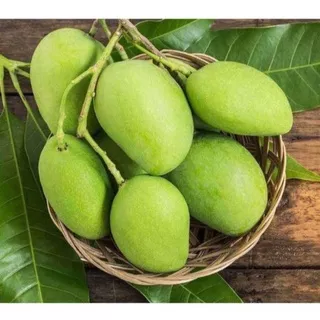 Buah mangga muda / mangga pencit/ mangga rujak fresh berat 1 kg