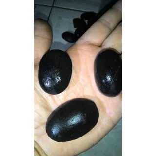 Black Opal Sempur Maja Banten Grosir Termurah Batu Akik .. Size Jumbo