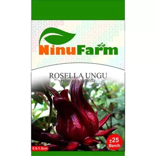 Benih Rosella Ungu 25Seeds