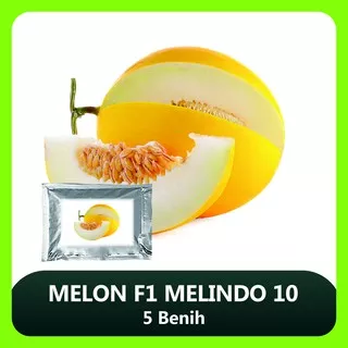 Benih Bibit Melon Melindo 10,  5 Benih