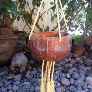 Pot Gantung Pot Bunga Gantung Pot Anggrek Pot Batok Kelapa Untuk Home Decor