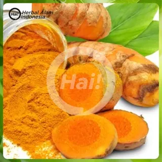 KUNYIT KONENG KUNIR SEGAR 500 GRAM HERBAL ALAMI HAI STORE