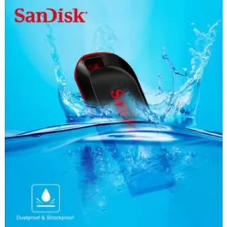 flashdisk sandisk