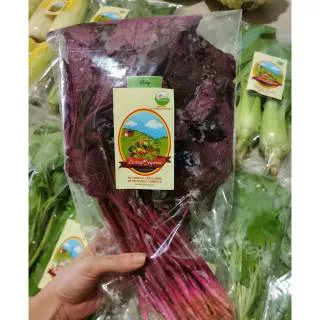 Bayam Merah || Red Spinach 200gr || Sayur Organik