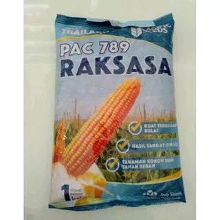 Benih Jagung hibrida PAC 789 RAKSASA Jago 1Kg Pacific Seeds