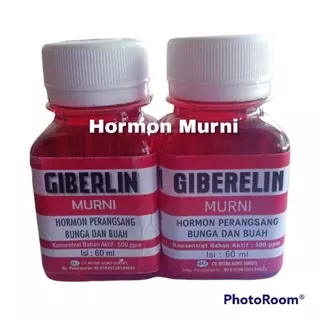 GIBERELIN Hormon Perangsang Buah dan Bunga ZPT Giberlin