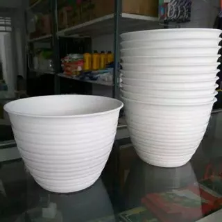 Pot Tanaman Tawon Putih diameter 15cm