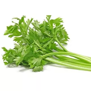 seledri fresh segar 1 kg  sayuran segar