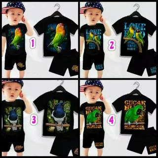 setelan baju anak laki laki 1-7thn warna hitam gambar burung lovebird, cucak hijau, kacer