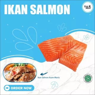 salmon portion / steak salmon / salmon norwegian / salmon fillet trout / salmon portion steak / ikan salmon fillet / salmon portion / norwegian salmon