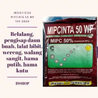 MIPCINTA 50 WP 100 GR/ INSEKTISIDA MIPCINTA/ BASMI WERENG/ BASMI KUTU/ BASMI WALANG SANGIT