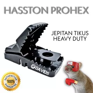 Perangkap jebakan tikus mouse trap Hasston Prohex model joni cat