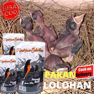 AMS AMERICAN SELECTION 220 GRAM PAKAN LOLOHAN PIYIK ANAK BURUNG MURAI