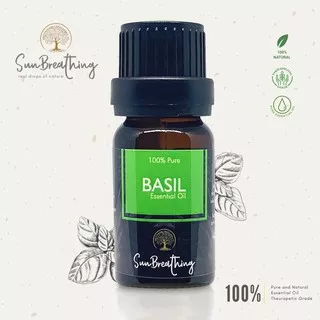 Basil Essensial Oil Pure 100 %/ Minyak Atsiri Basil Asli 100 %