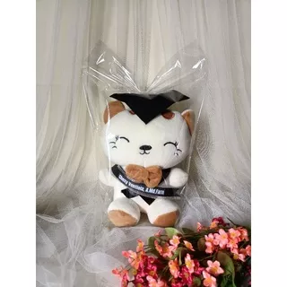 Boneka Wisuda Kucing Lucu Hadiah Makassar Aniranggiart