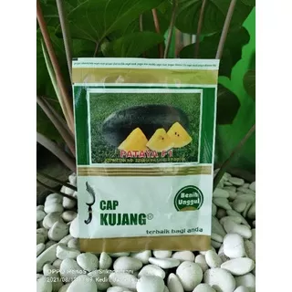 Semangka Pataya F1 20gr Semangka Inul Kuning Pataya Semangka Hibrida Original Pabrik