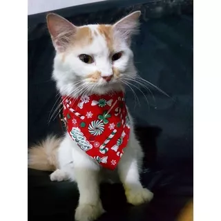 Migo Design - 2 Warna Slayer Syal Kucing Anjing / AnaBul Pet Kelinci Monyet Bib Bip Hewan Slabber Slaber Celemek Kerah Kalung Bandana Dasi Sarung Leher Pakaian Baju Scarf Cat Dog Animal Costume