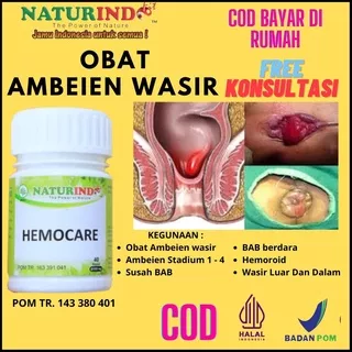 OBAT WASIR AMBEIEN STADIUM 1 SAMPAI 4 PALING AMPUH HERBAL AMBEYEN HEMOROID HEMOCARE NATURINDO COD