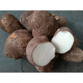 UWI| UWI TUBAN| UWI PUTIH| UMBI PUTIH| UMBI RAMBAT| UMBI-UMBIAN| UWI PUTIH 1KG KHAS TUBAN