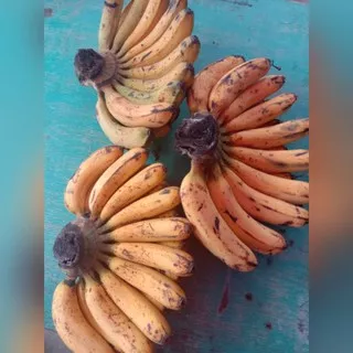 Pisang Barangan