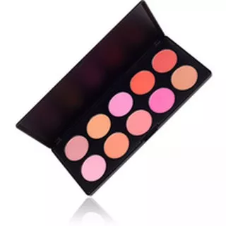 Coastal scents 10 Blush Palette