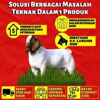 SUPLEMEN PAKAN VITAMIN PENGGEMUK PROBIOTIK JAMU PERAWATAN HEWAN TERNAK AYAM SAPI KAMBING UNGGAS D04