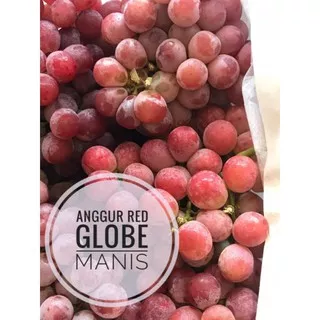 buah anggur merah red globe 1kg