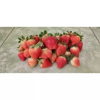 BUAH STRAWBERRY (1 pack isi 19-25)