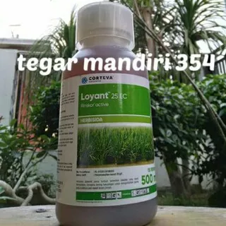 Herbisida sistemik untuk padi loyant 25ec herbisida untuk padi LOYANT  herbisida Loyan loyant