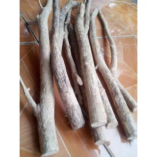 KAYU KEMUNING JUAL BORONGAN 50K